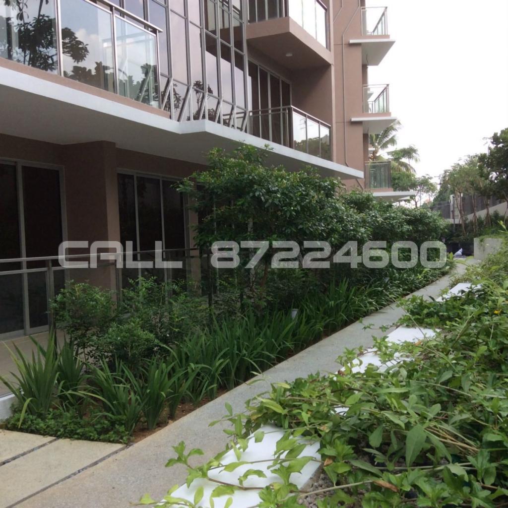 Bartley Residences (D19), Apartment #85674512